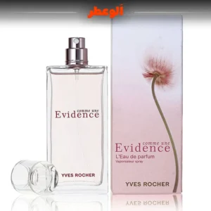 ایوروشه اویدنس