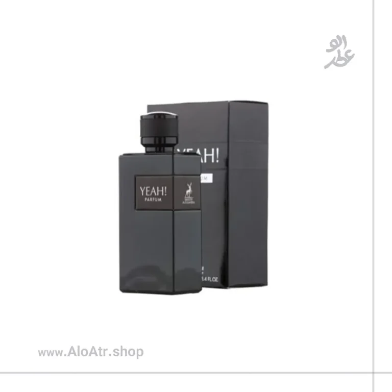 ایو سن لورن وای الحمبرا