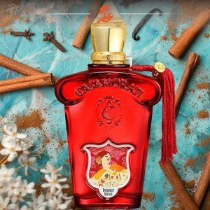 زرجف کازاموراتی بوکت ایدیل