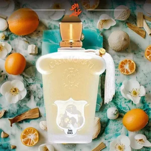 زرجوف داما بیانکا؛ بهترین عطر زمستانی زنانه