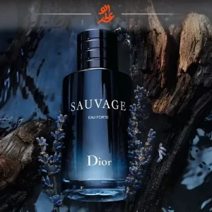 ادکلن دیور ساواج مردانه