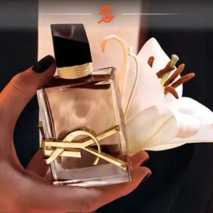 ایو سن لورن لیبره