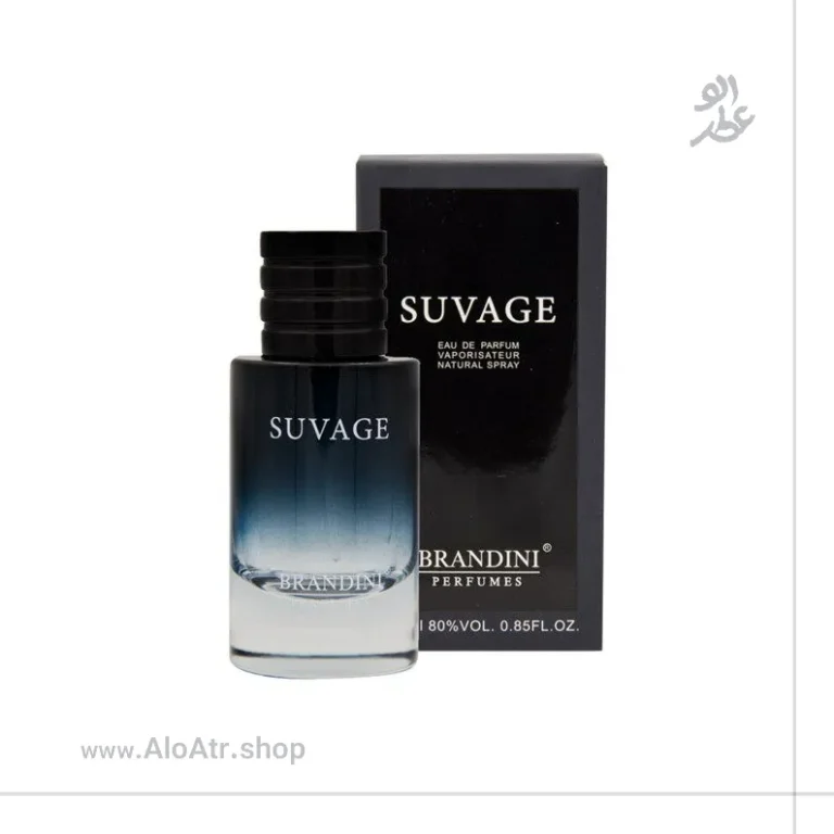 ادکلن مینیاتوری دیور ساواج مردانه