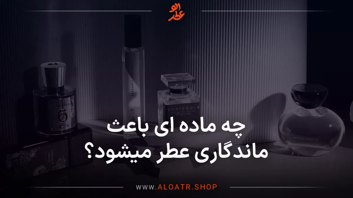 چه ماده ای باعث ماندگاری عطر میشود؟