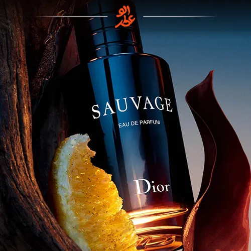 ادکلن دیور ساواج مردانه ( الحمبرا) | Dior Sauvage
