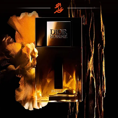 ادکلن مردانه با بوی چرم دیور هوم | Dior Homme for Men