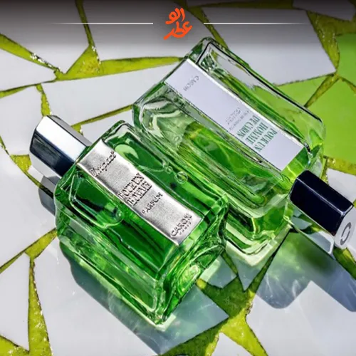 کارون پوران هوم – عطرشاه| Caron Pour Un Homme