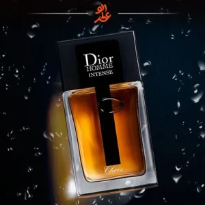 دیور هوم اینتنس | Dior Homme Intense