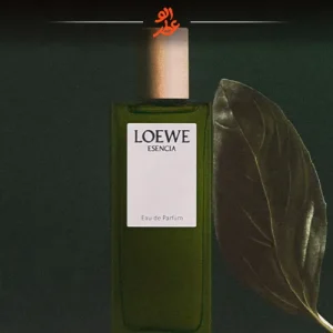 لووه اسنسیا پور هوم | Loewe Esencia pour Homme