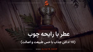 عطر با رایحه چوب ، ۱۰ ادکلن جذاب با حس طبیعت و اصالت